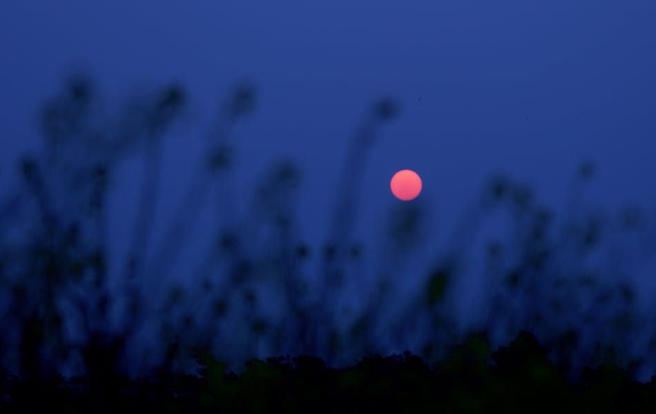 Spiritual meaning of the Pink Moon