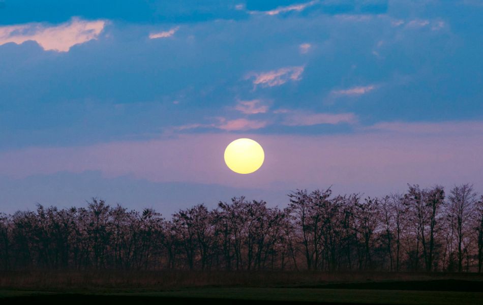 Yellow Moon and Good Luck