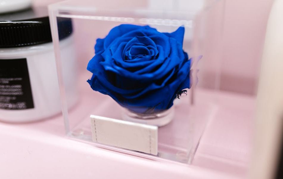 Blue Roses in Art, Literature, and Music