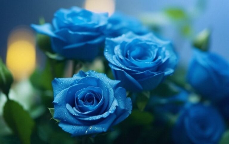 Spiritual Meaning of Blue Roses