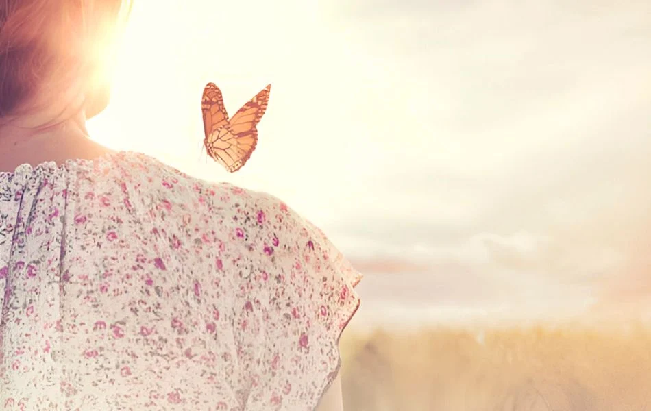 Why Do We Dream About Reincarnation