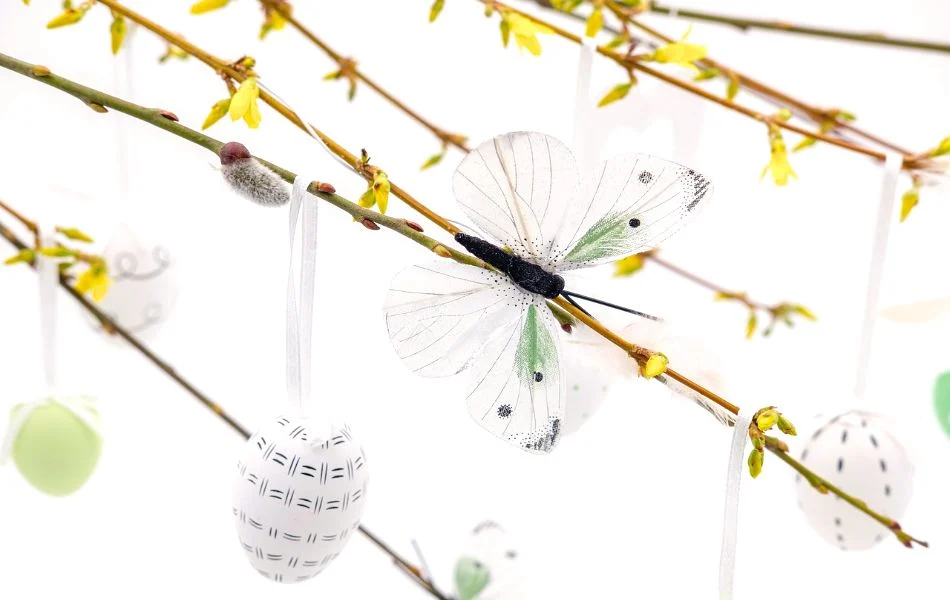 Purity and Innocence - Symbolism of the White Butterfly