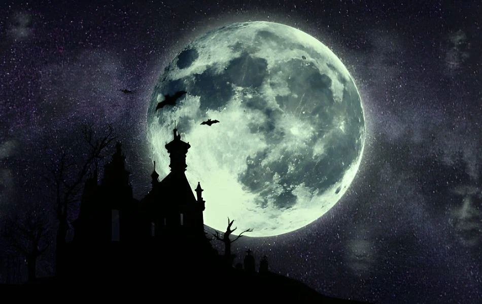 Bats are nocturnal creatures, emerging only after the sun sets