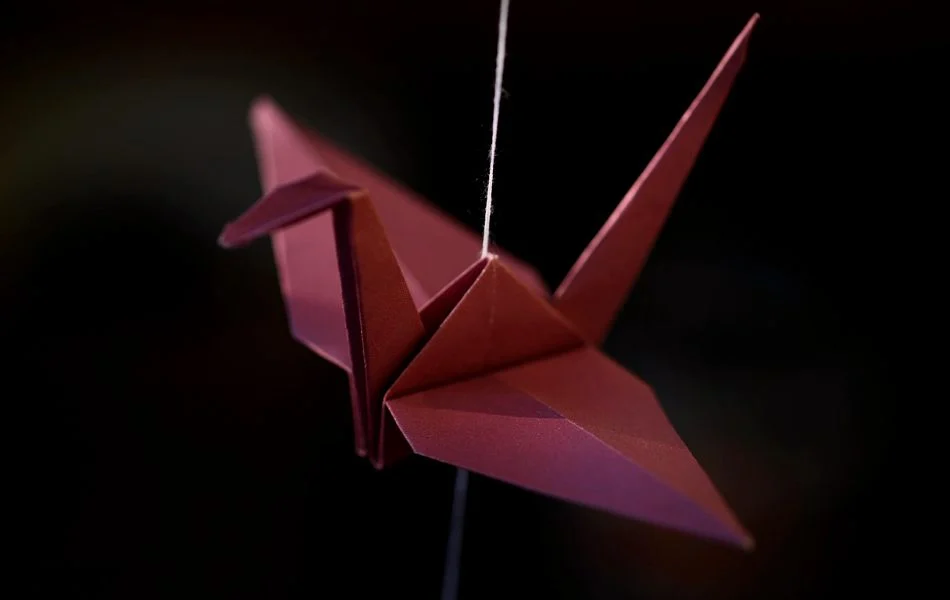 Bird Symbolism in Dreams