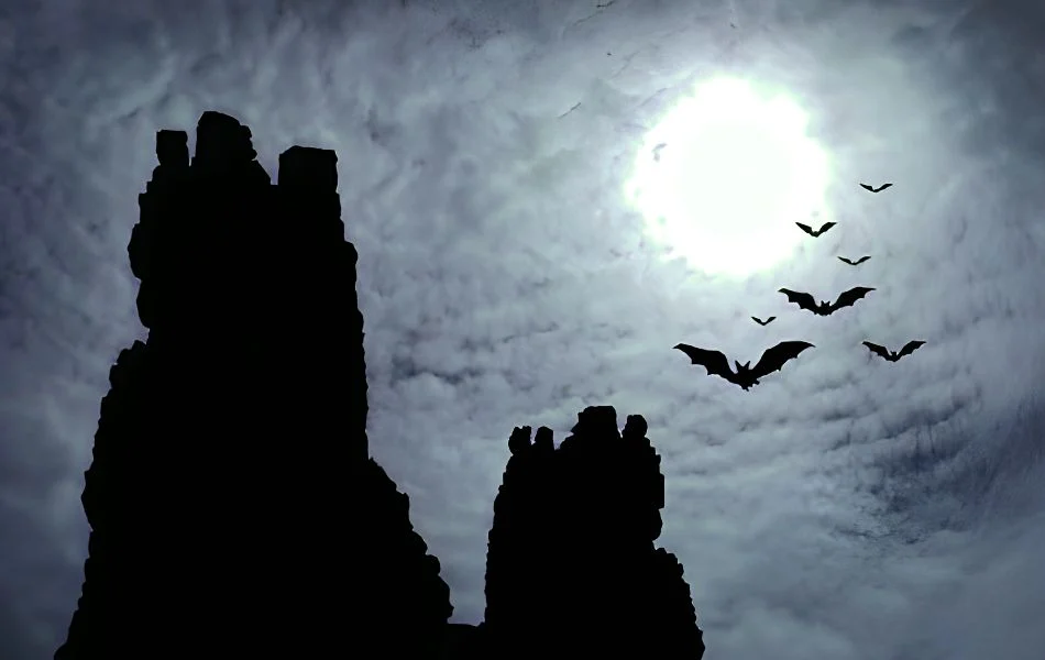 Cultural Perspectives on Bat Symbolism