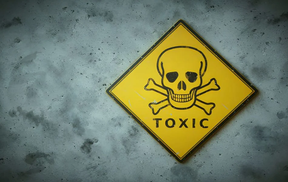 How to Respond to Your Dream