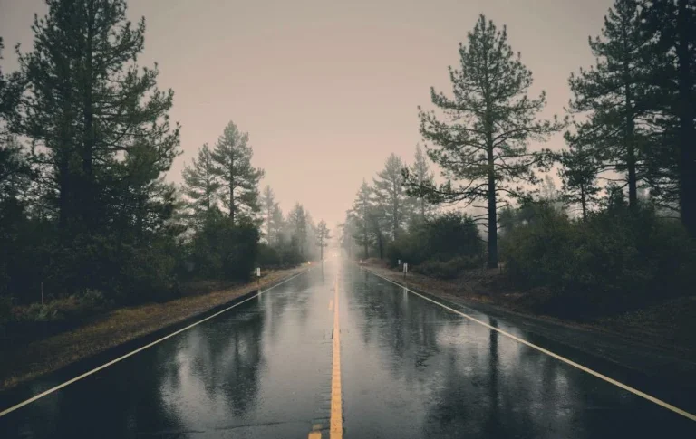 What Rain Dreams Might Mean for You