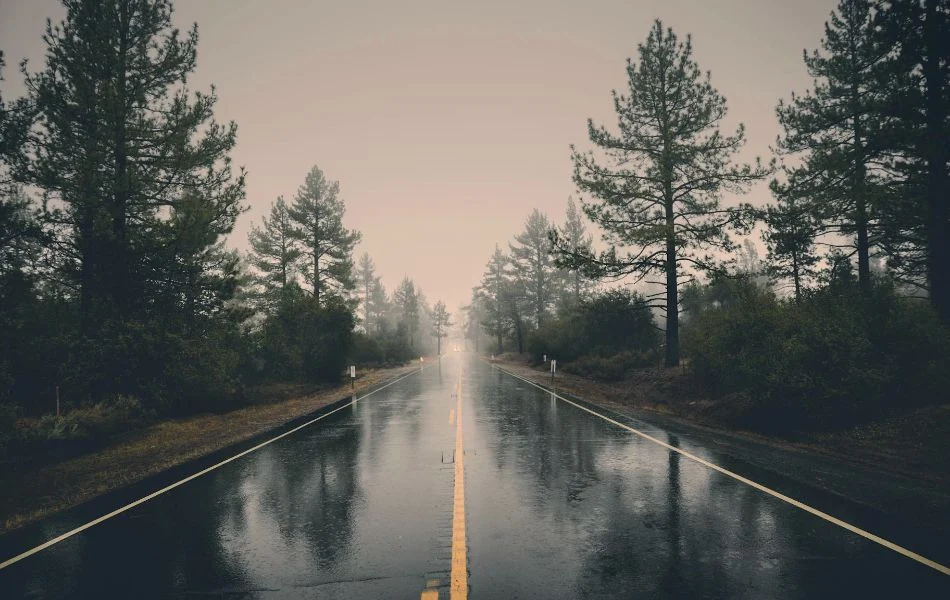 What Rain Dreams Might Mean for You