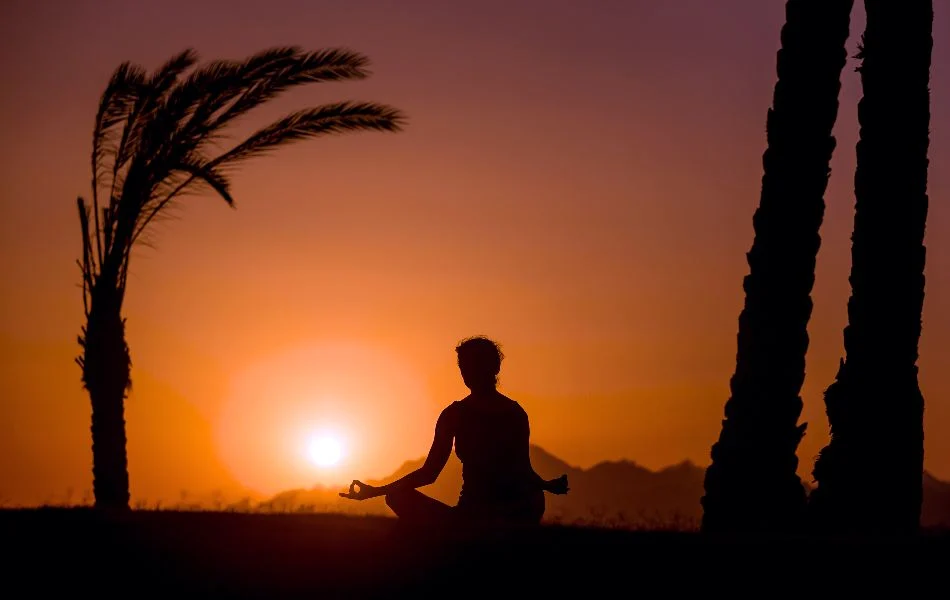 Symbols in Karma Dreams